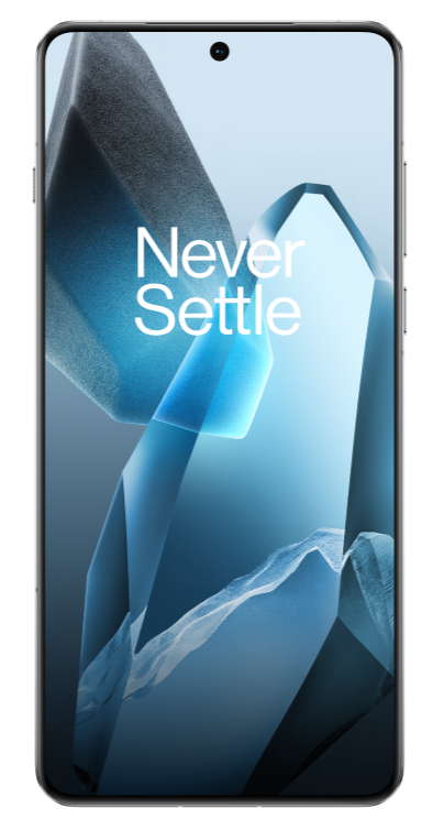 view of OnePlus 13